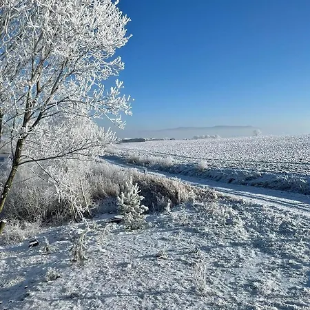 Дом отдыха Nad Stawem Клодзко